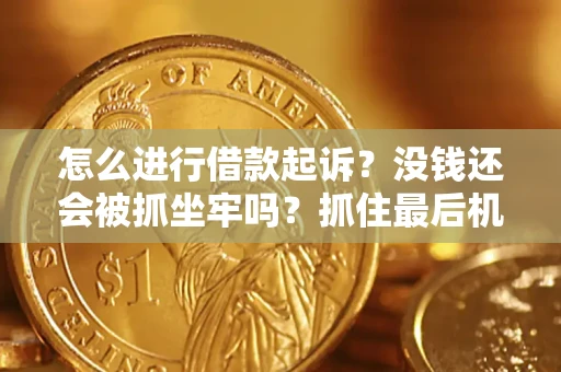北京怎么进行借款起诉？没钱还会被抓坐牢吗？抓住最后机会！