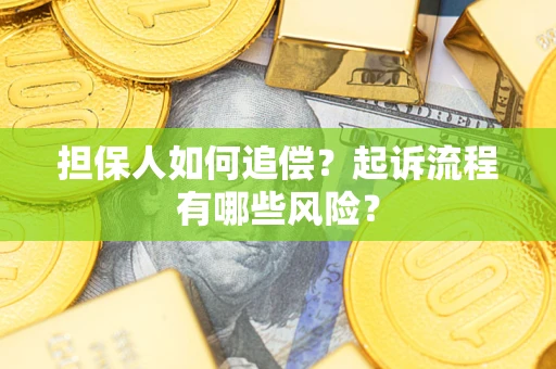 北京担保人如何追偿？起诉流程有哪些风险？