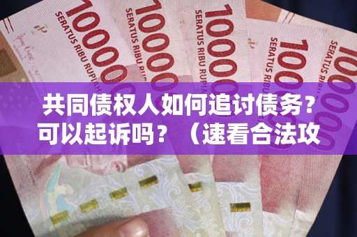 北京共同债权人如何追讨债务？可以起诉吗？（速看合法攻略）