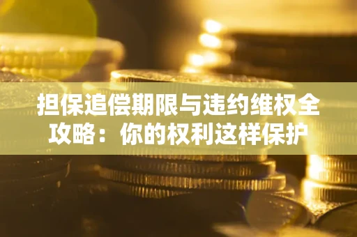 北京担保追偿期限与违约维权全攻略：你的权利这样保护