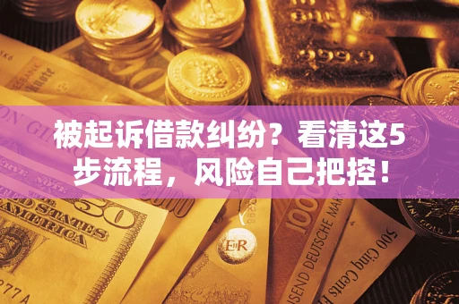 北京被起诉借款纠纷？看清这5步流程，风险自己把控！